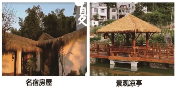 廊坊誉鑫仿真草坪携新款仿真草坪、茅草邀您参加：OY中部游乐展7月7-9日郑州国际会展中心